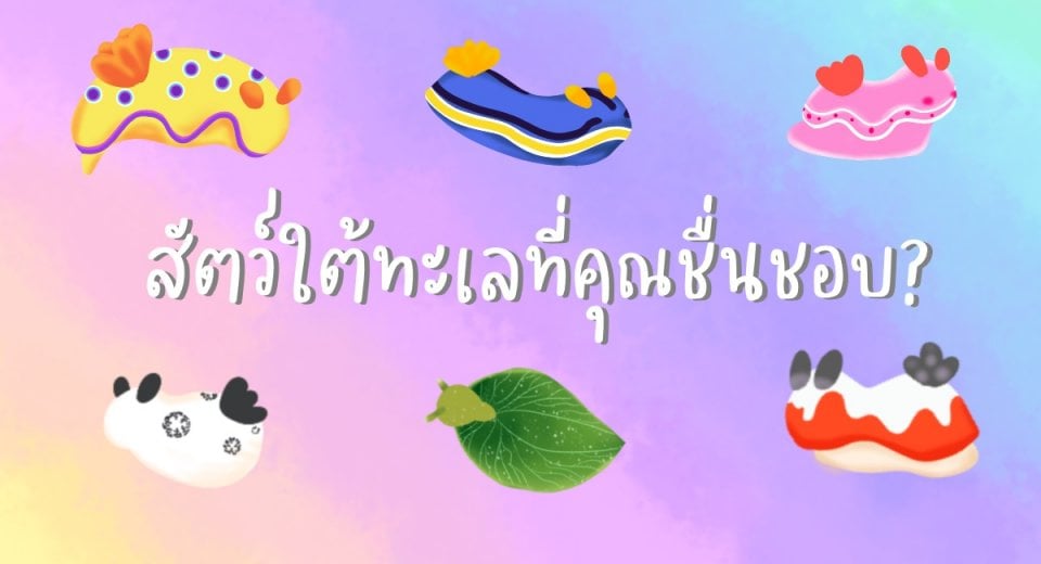 สัตว์ใต้ทะเลที่คุณชื่นชอบ?