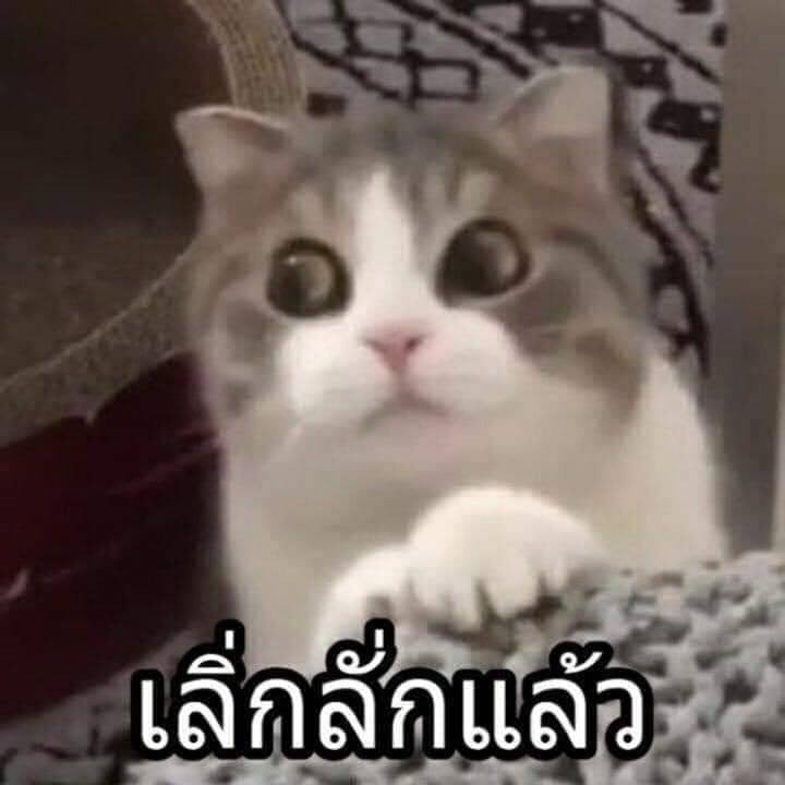 ตอนครูเรียกตอบคำถาม อาการมันเป็ยยังงัยยย