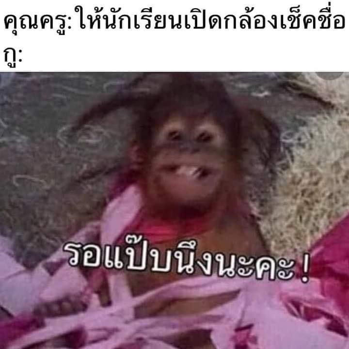 ครูบอกให้เปิดกล้อง จะทำไงงง