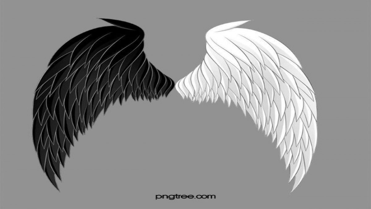 คุณเป็น Angel or Devil