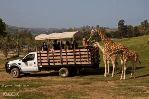 สวนสัตว์ซานดิเอโก (San Diego Zoo)