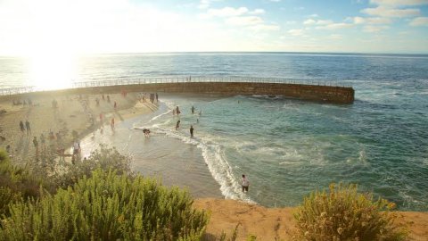 ชายหาดลาโฮยา (La Jolla Beach)