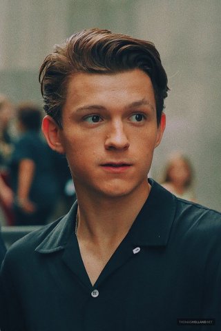 Tom holland