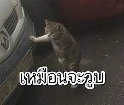 จบแล้ว ขออนุญาตเจ้าของรูปทุกคนนะ