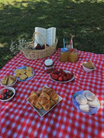 picnicking