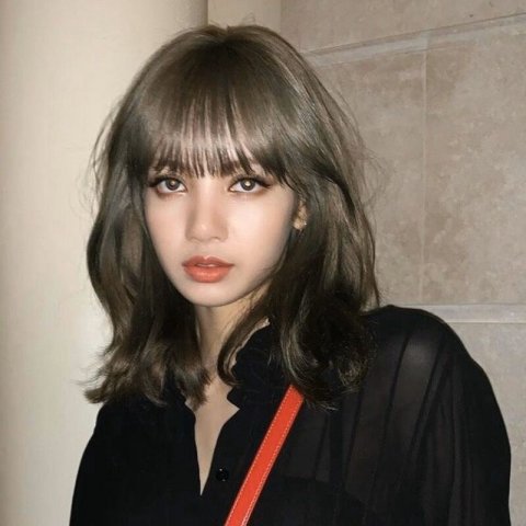 ขออนุญาตlisa