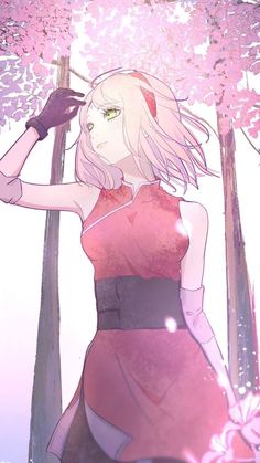 ฮารุโนะ ซากุระ (จากเรื่อง นารูโตะ)