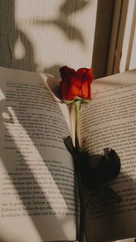 หนังสือเล่มนึงที่เขียนถึงเราและใส่ดอกกุหลาบสีแดงไว้(ดอกไม้ปลอมนะ)