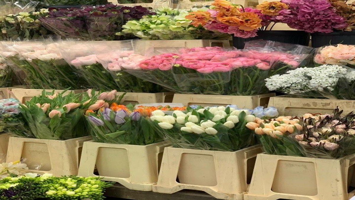 มาเปิดร้านขายดอกไม้กันเถอะ ( let’s open a flower shop 💐🫧)