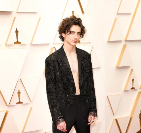 timothee chalamet