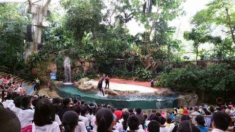Singapore Zoo สวนสัตว์ที่ดีที่สุดในโลก