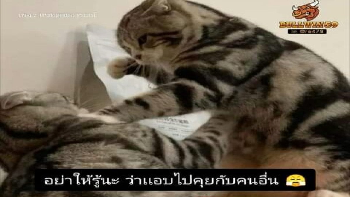 ถายนิสัยของคุณจากวันเกิด