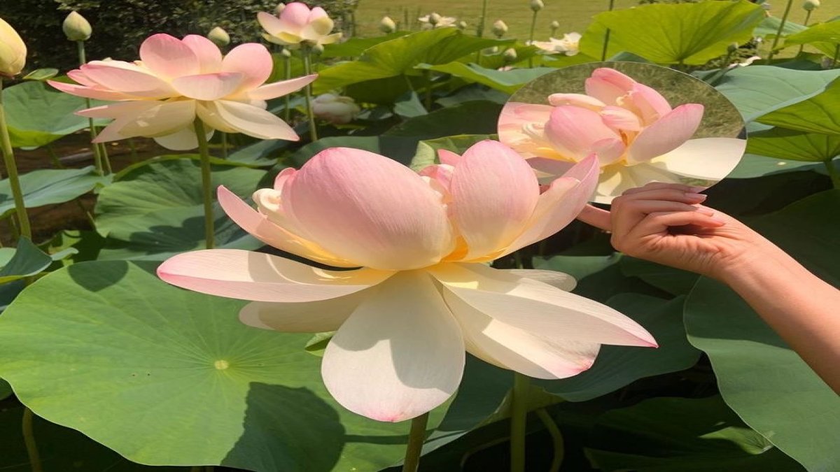 ย้อนเวลากลับไปในไทยสมัยโบราณ