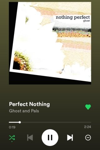 Perfect Nothing