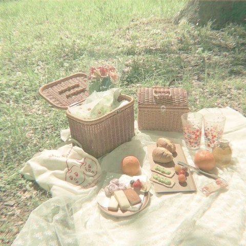 picnic🍒