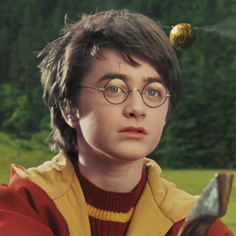 Hi, I'm Harry Potter. Nice to meet you.