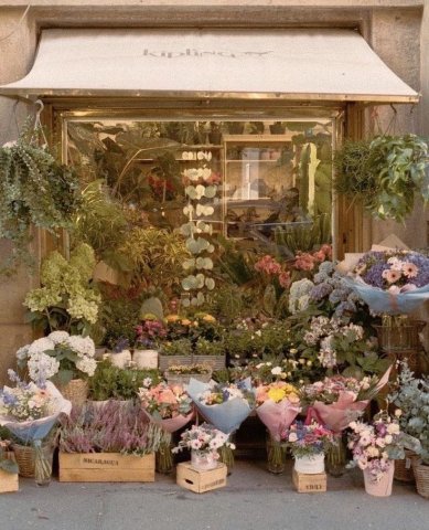 ร้านขายดอกไม้
