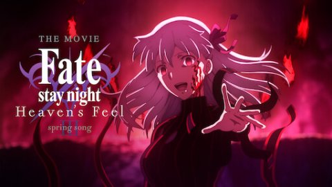 fate stay night heaven's feel