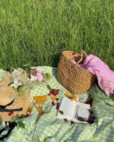 picnic