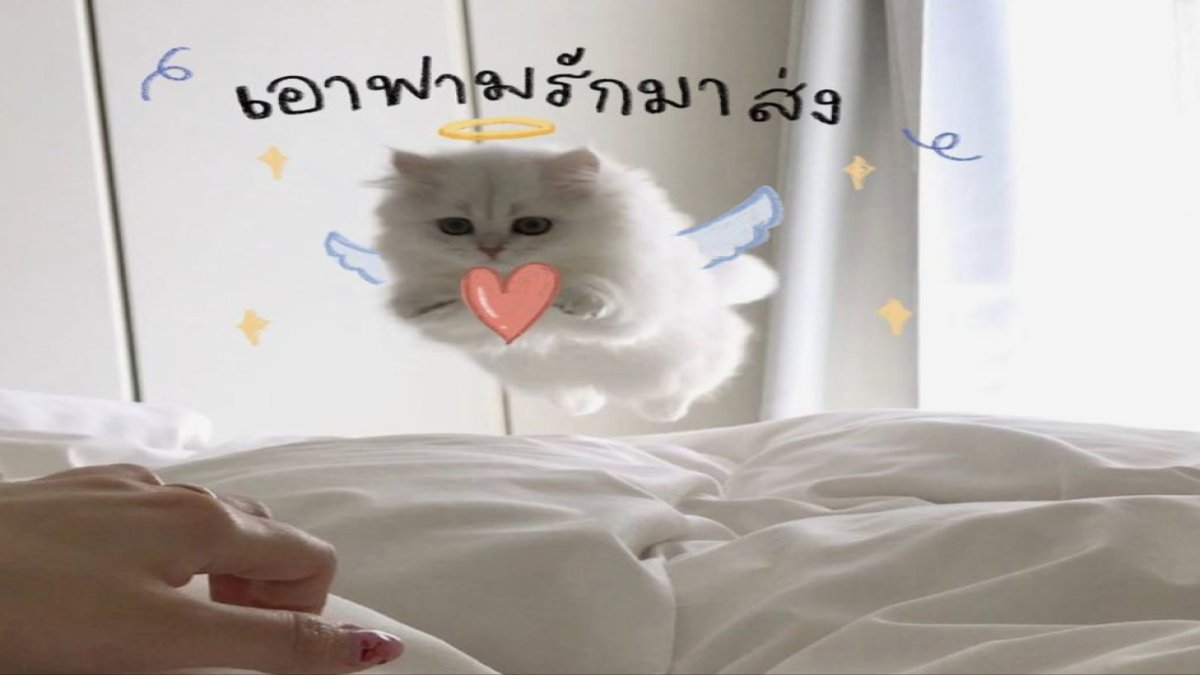 ทายนิสัยว่าคุณเป็นคนอย่างไร