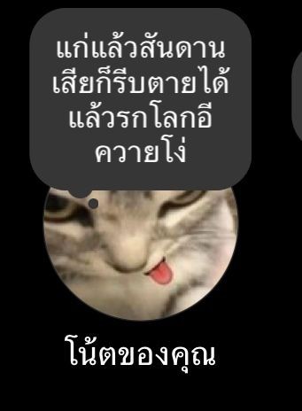 ปังมากกพี่นัท