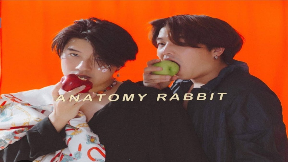 มาทายเพลงวง anatomy rabbit กัน