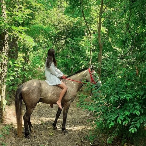 lil cow girls must ride horses. have to ride a horse 😎🤠