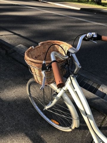 a bike ride🚲