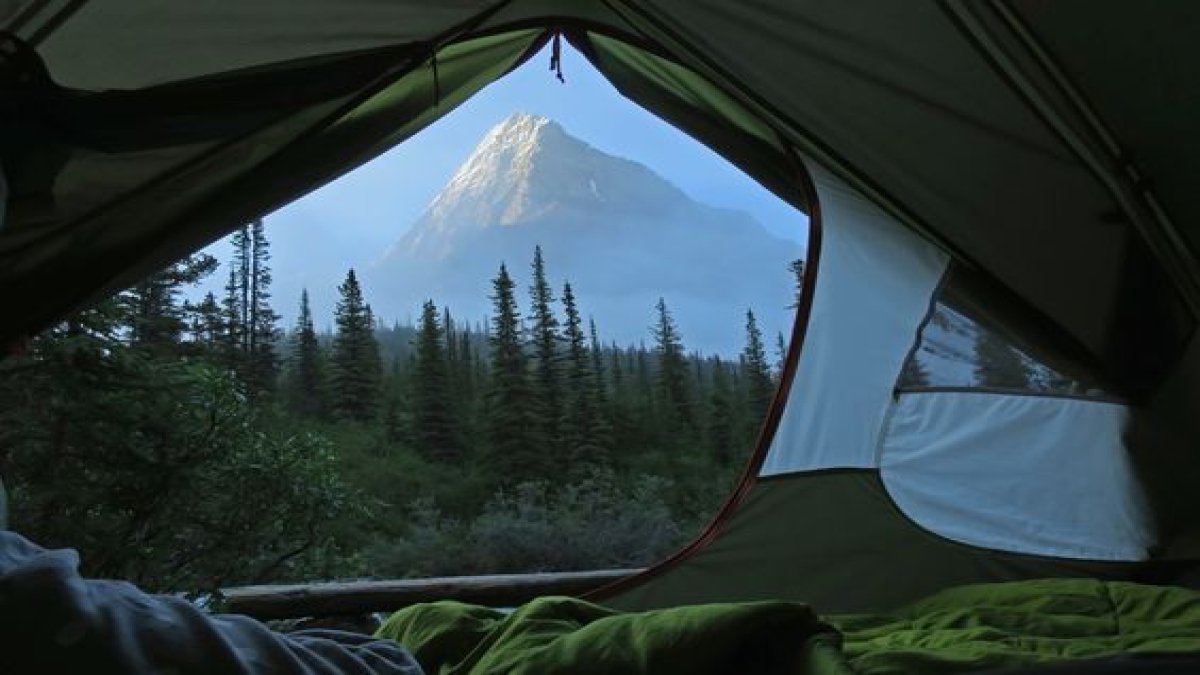 let's go camping in the mountains 🐾