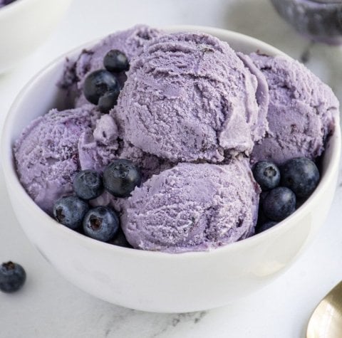 Blueberry Yogurt