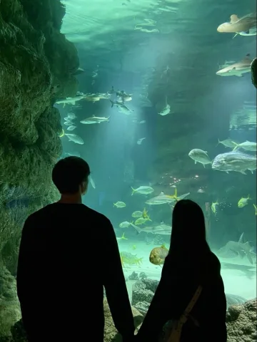 Aquarium 🐟🐡