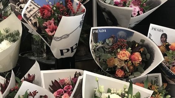 your flower shop ❀˖