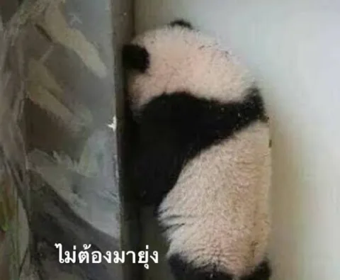 ฝันไปเถอะ ฉันไม่ได้ชอบคุณ