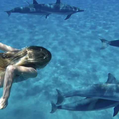 Swimming with a partner