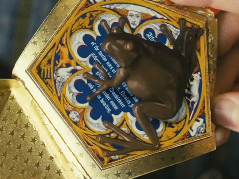 Chocolate frog