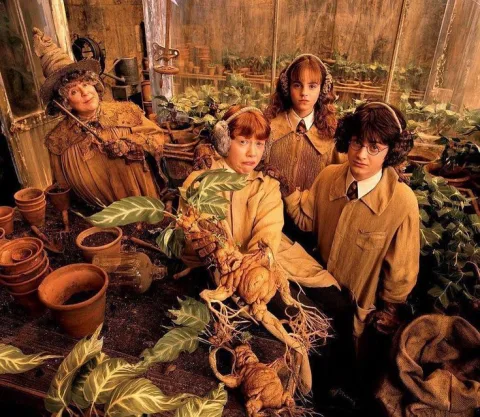 Herbology