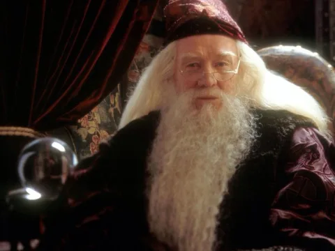 Albus Dumbledore