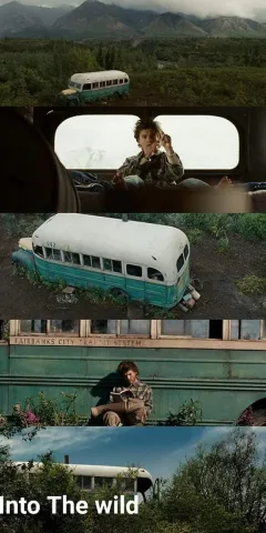 Into the wild 2007.