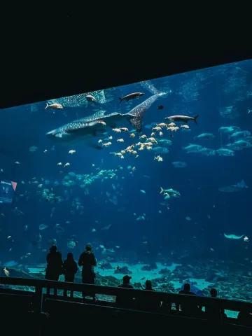 AQUARIUM