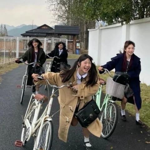 🚲🚲