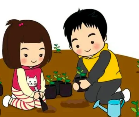 ปลูกต้นไม้