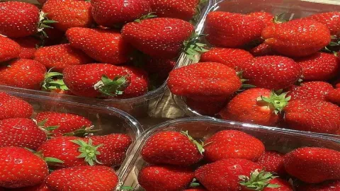 เดบิวต์2.🍓