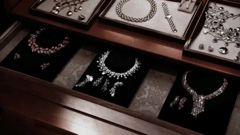 when you open a jewelry store , 🪽💍