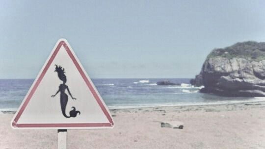 `คุณจะเป็นใครในเมืองแห่งมหาสุทร Who would you be in the city of the ocean !? .*🐬｡○ﾟ