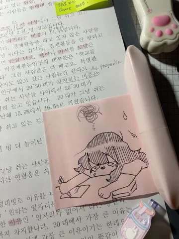 🇰🇷