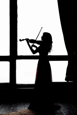 Violin