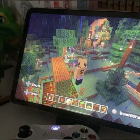 เล่นเกมส์
