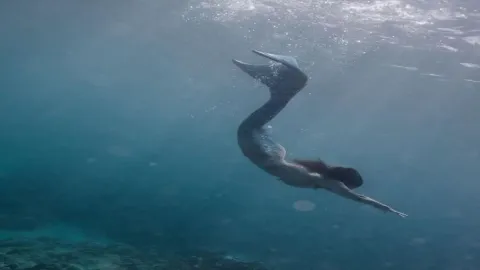 𝚆𝚑𝚎𝚗 𝚢𝚘𝚞 𝚊𝚛𝚎 𝚊 𝚖𝚎𝚛𝚖𝚊𝚒𝚍🧜‍♀️🧜‍♂️