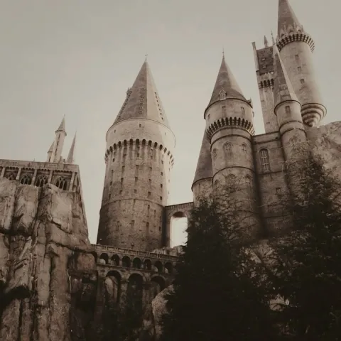 Harry Potter