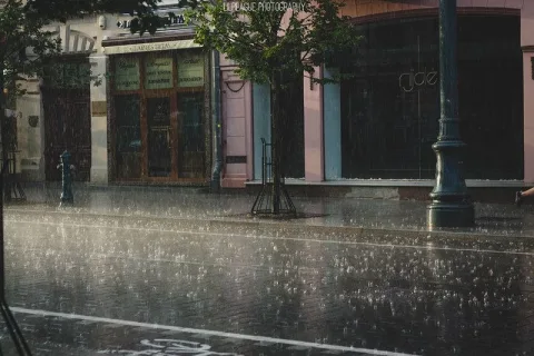 Rain